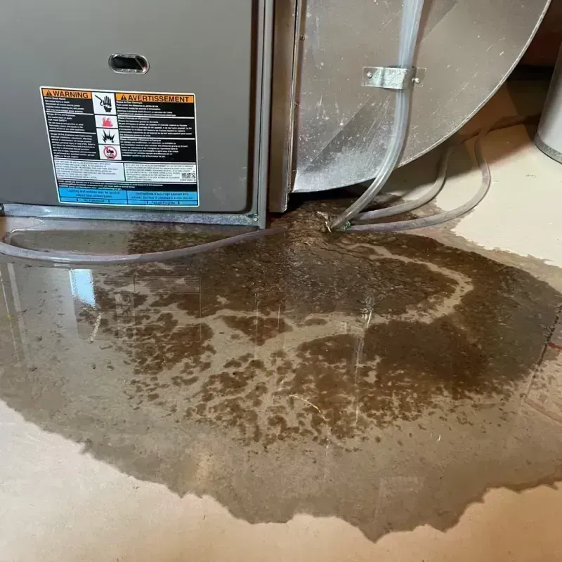 Appliance Leak Cleanup in Scott County, AR